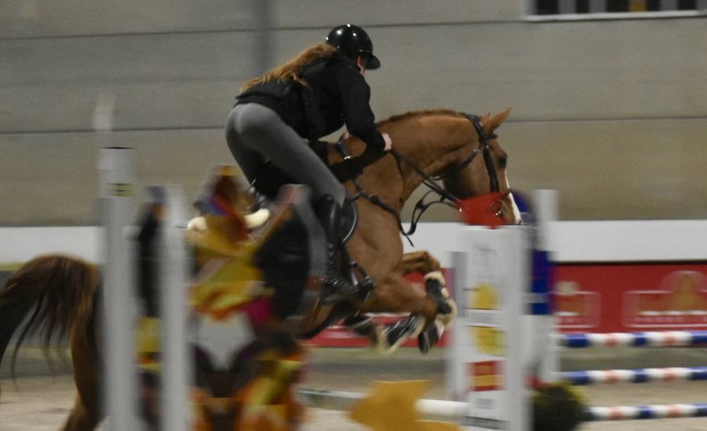 Ruin Zangersheide Te koop 2013 Vos