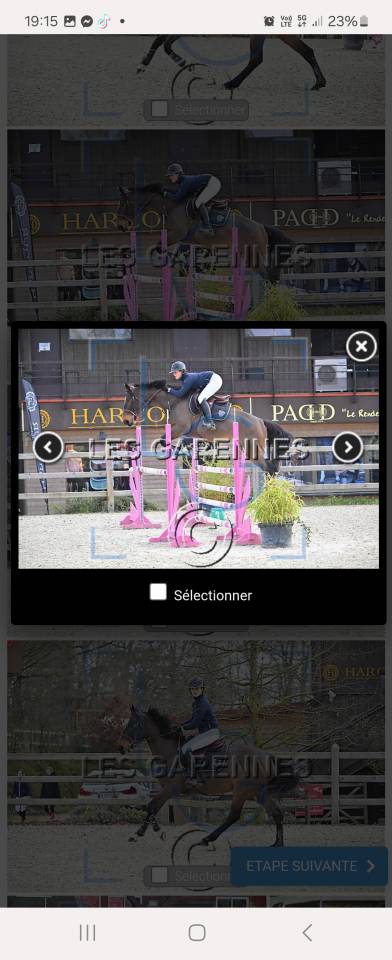 Merrie Selle Fran&ccedil;ais Te koop 2020 Donker bruin / bai ,  Dexter de Kerglenn