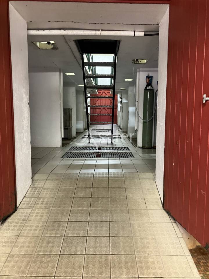 Wijn exploitatie Koop Loire-Atlantique