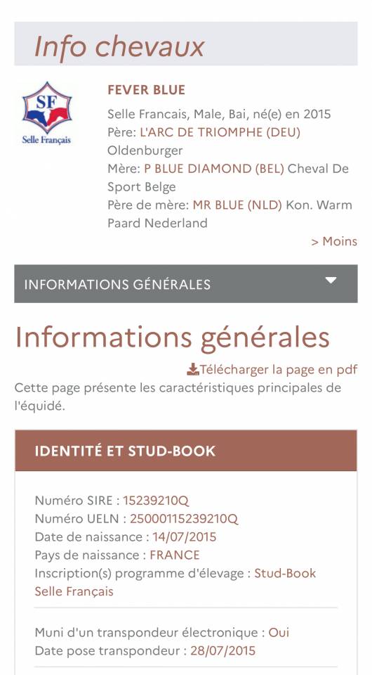 Ruin Selle Fran&ccedil;ais Te koop 2015 Donker bruin / bai ,  L&rsquo;arc de triomphe