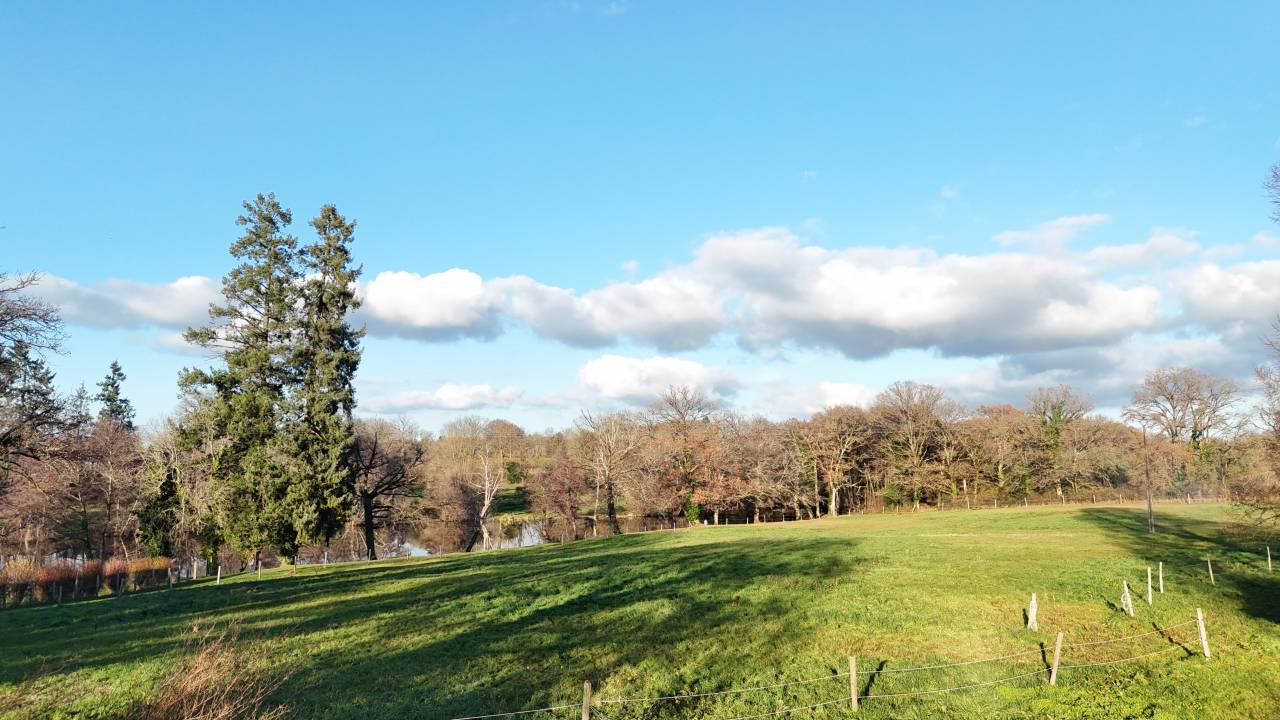 Mooi hippisch vastgoed Koop Creuse