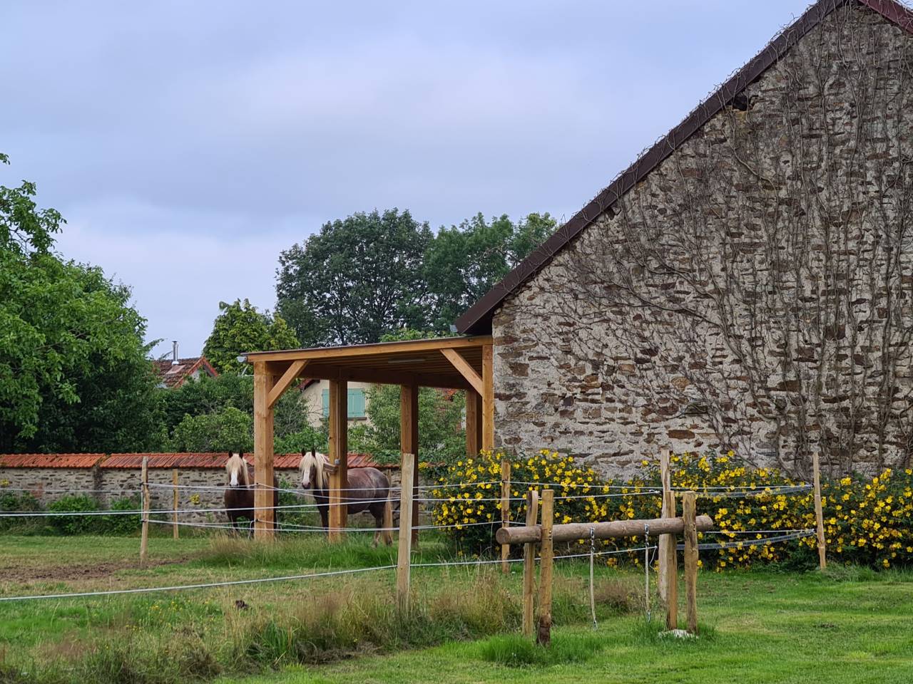 Mooi hippisch vastgoed Koop Creuse