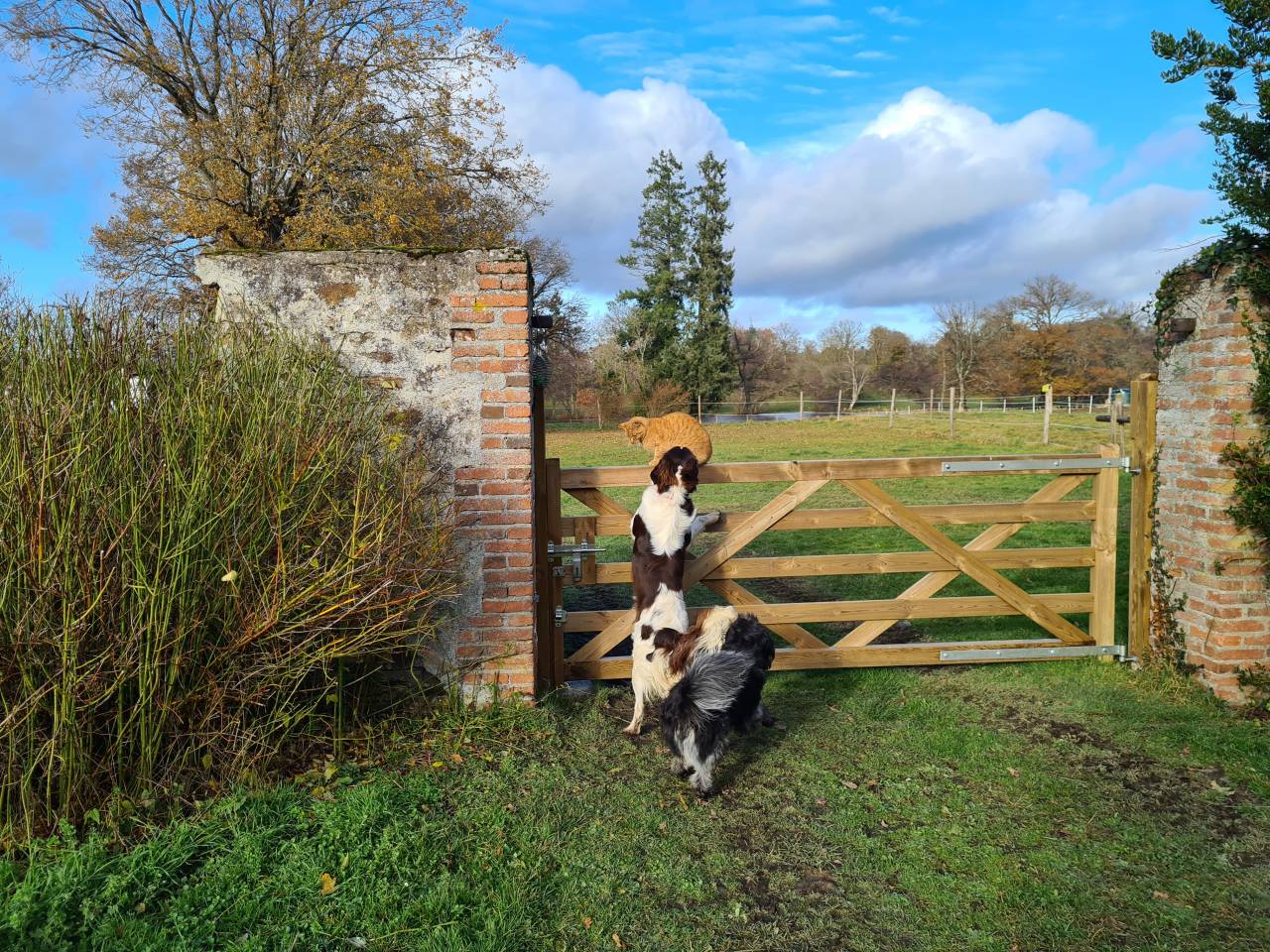 Mooi hippisch vastgoed Koop Creuse