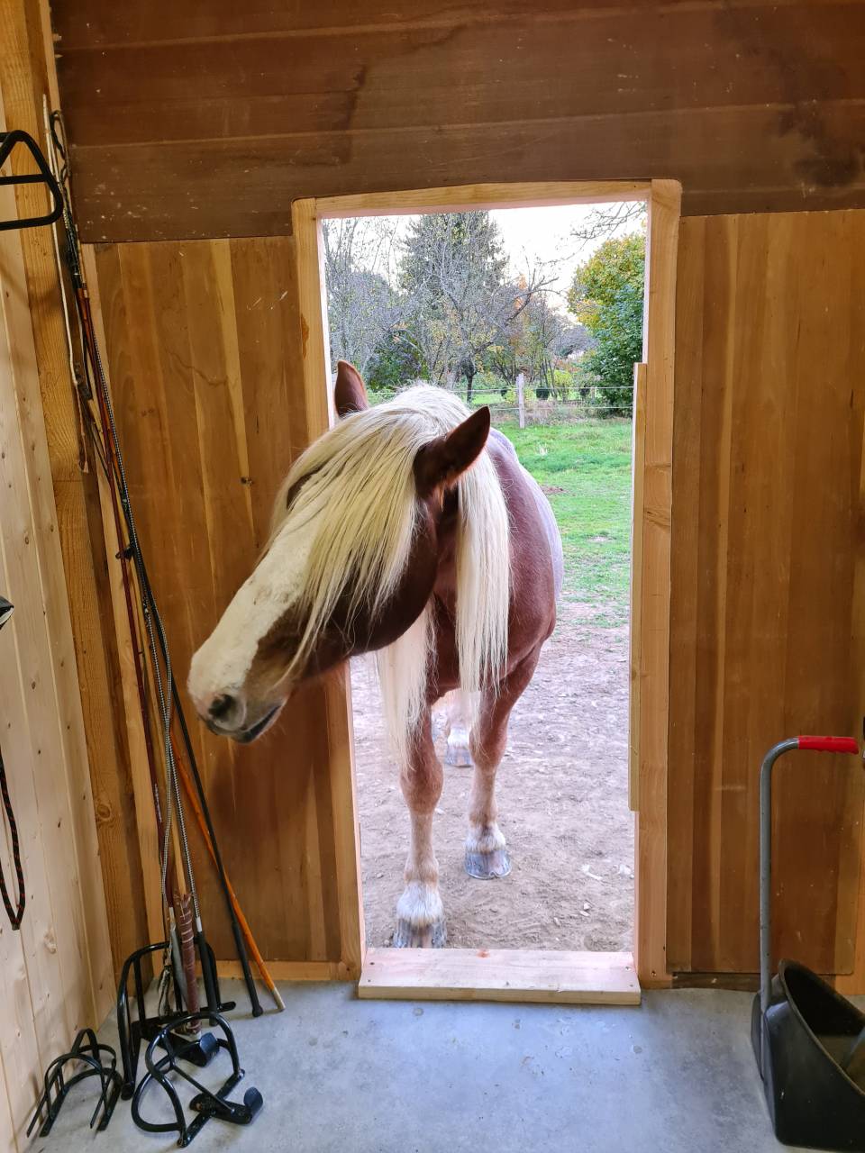 Mooi hippisch vastgoed Koop Creuse