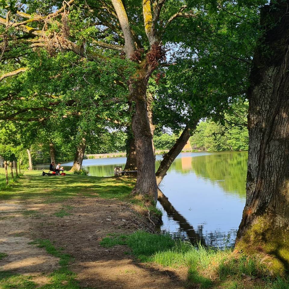 Mooi hippisch vastgoed Koop Creuse