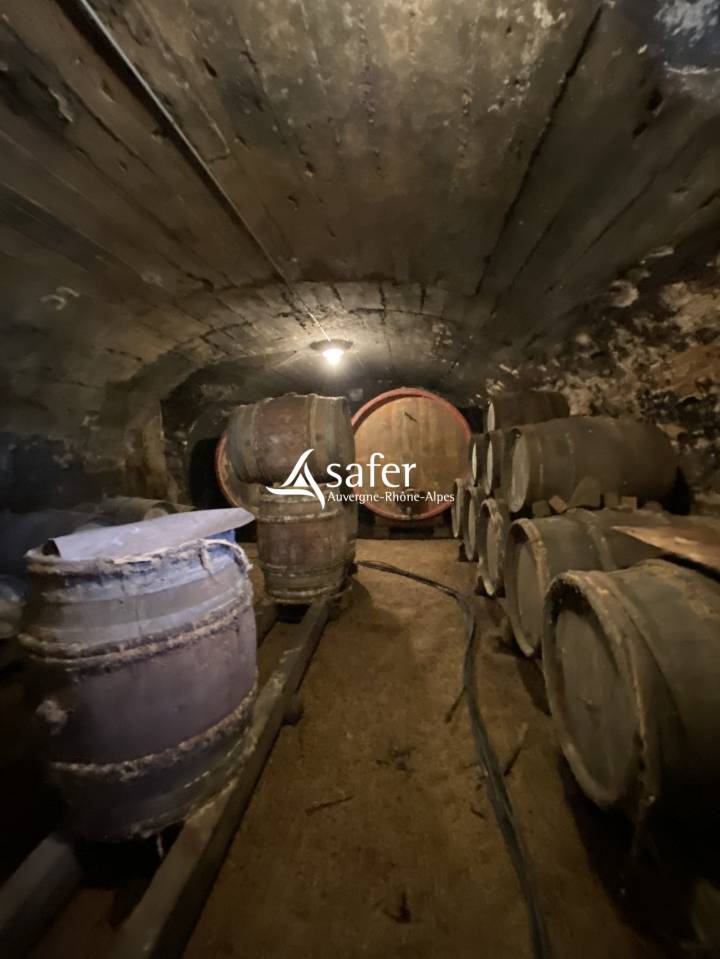 Ander plattelands vastgoed Koop Rh&ocirc;ne