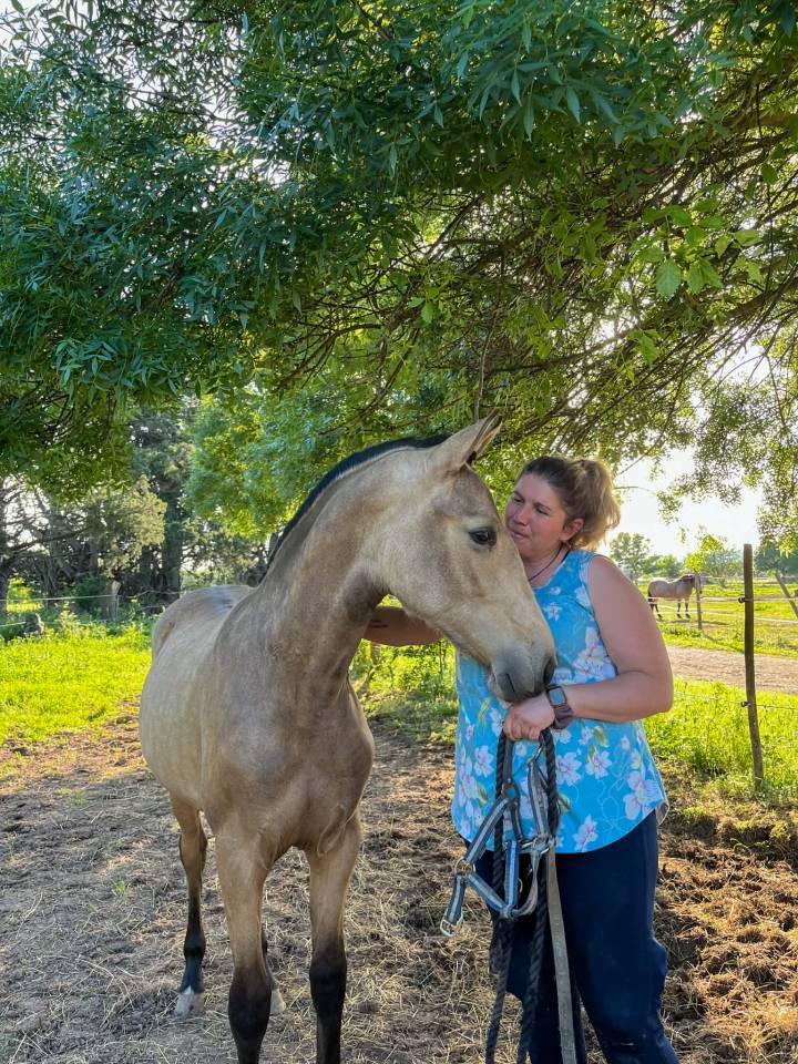 Merrie PRE Puur Ras Spaans Te koop 2024 Isabel