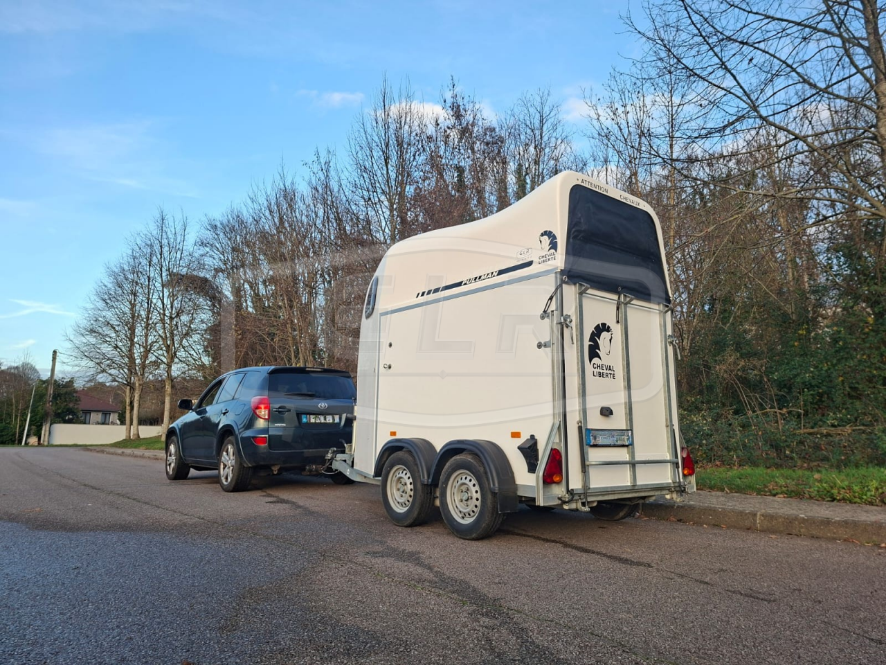 Paardentrailers Cheval Libert&eacute; Gold One White Line 1,5 Paard 2019 Tweedehands