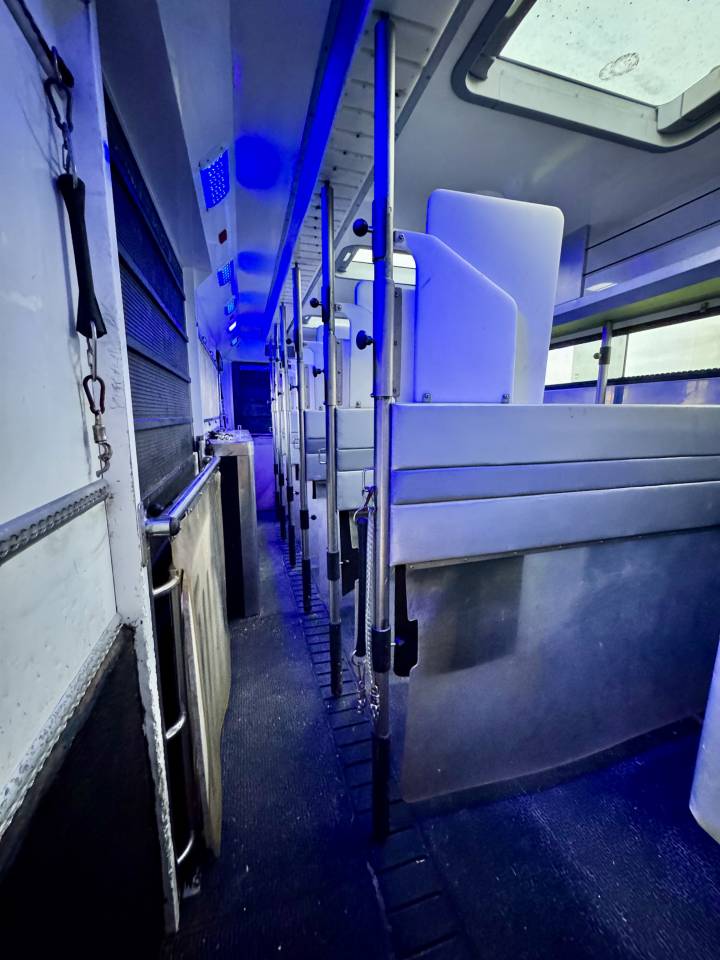 Zware paardenvrachtwagen (groot rijbewijs) Scania P380 2010 Tweedehands