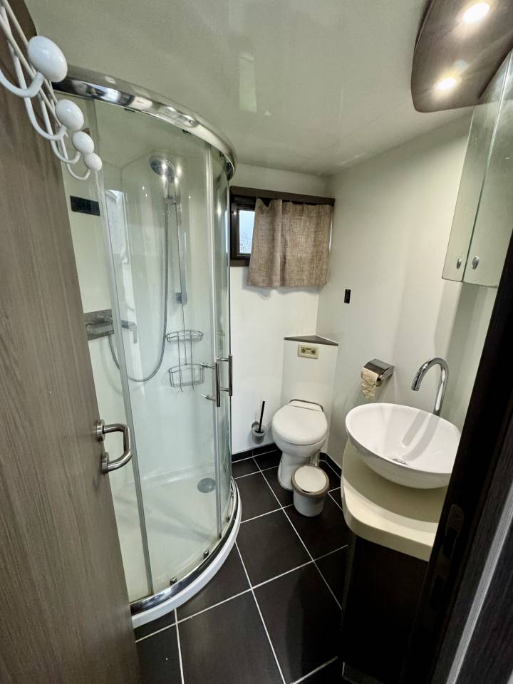 Zware paardenvrachtwagen (groot rijbewijs) Scania P380 2010 Tweedehands