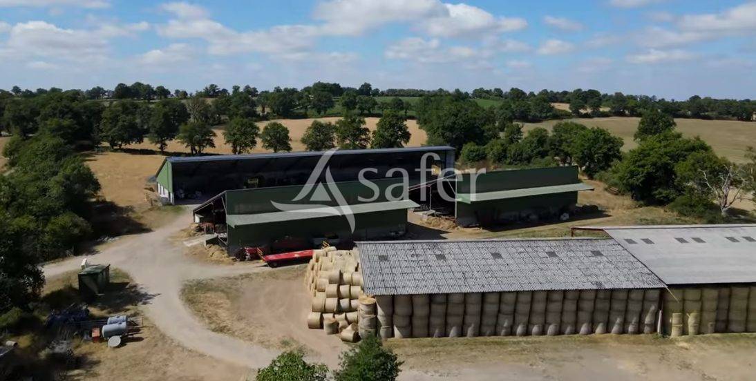 Schapen exploitatie Koop Vienne