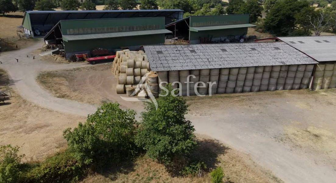 Schapen exploitatie Koop Vienne