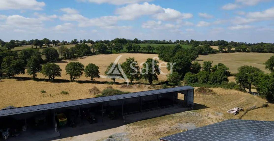 Schapen exploitatie Koop Vienne