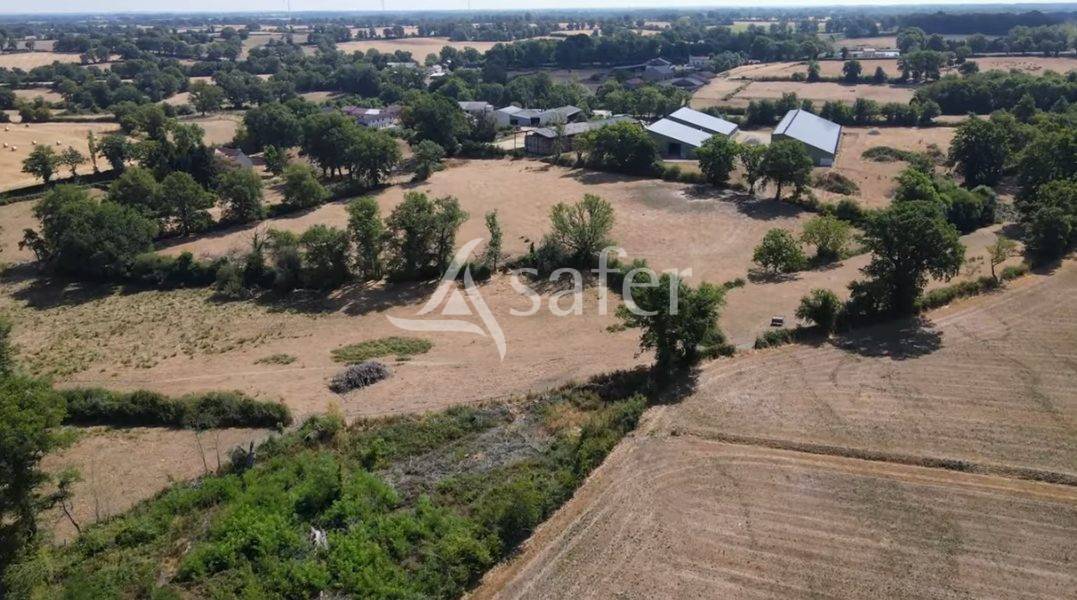 Schapen exploitatie Koop Vienne