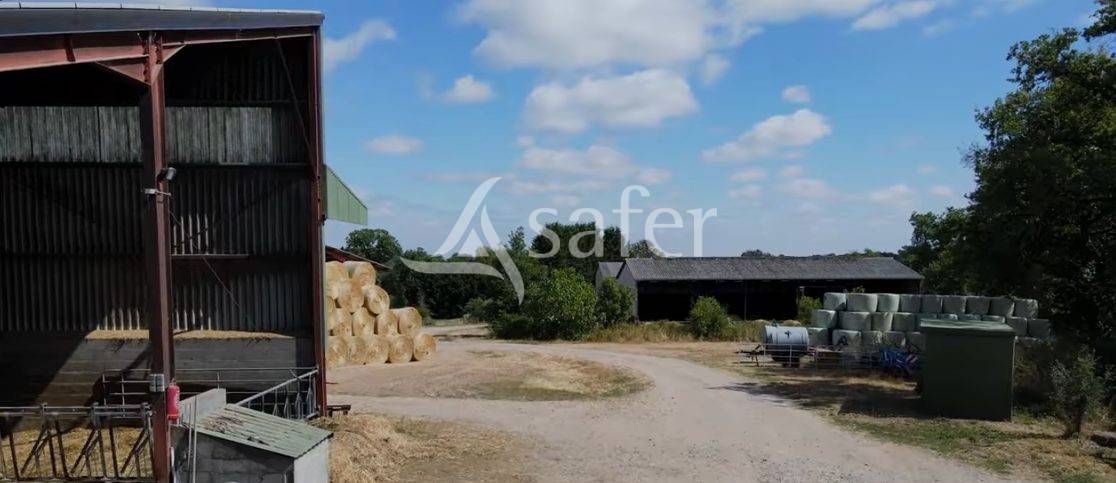 Schapen exploitatie Koop Vienne