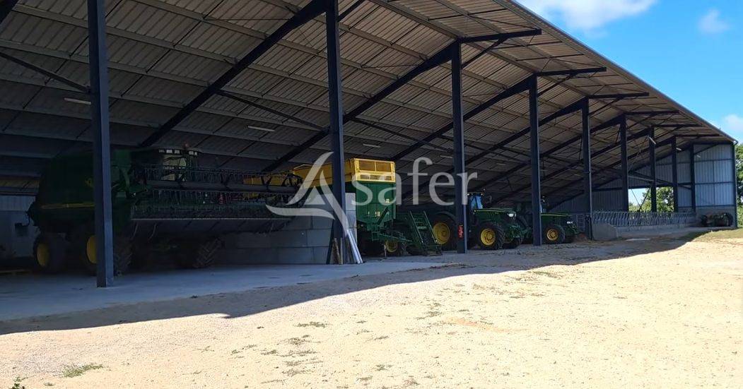 Schapen exploitatie Koop Vienne