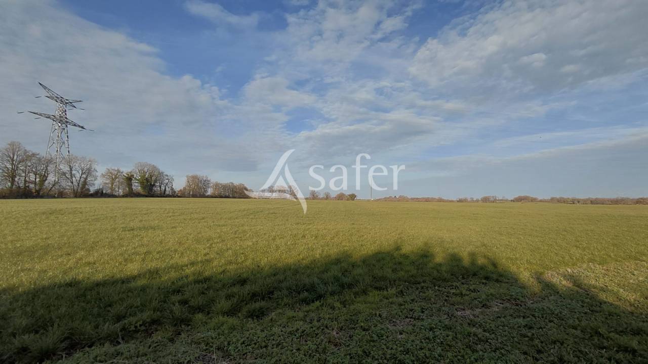 Ander plattelands vastgoed Koop Vienne