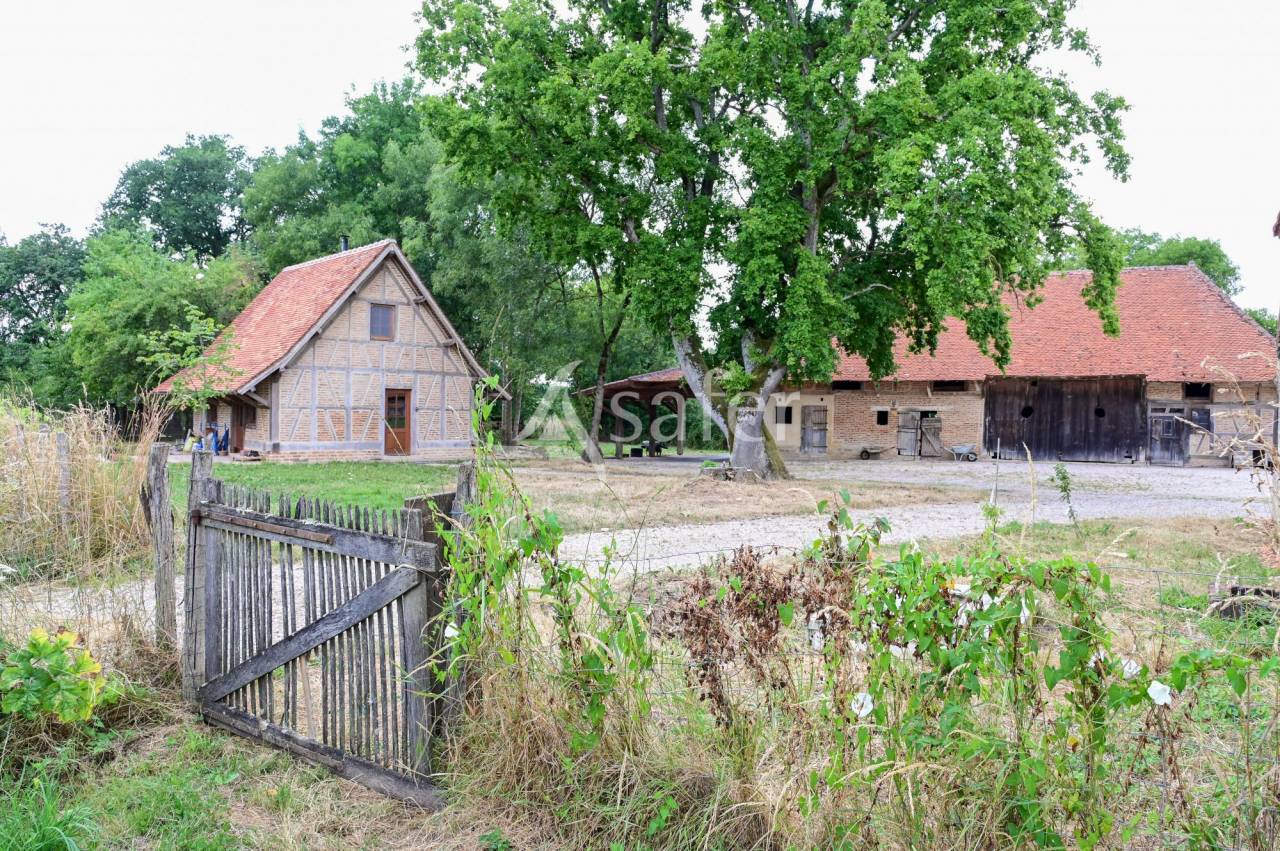 Landbouw bedrijf Koop Jura