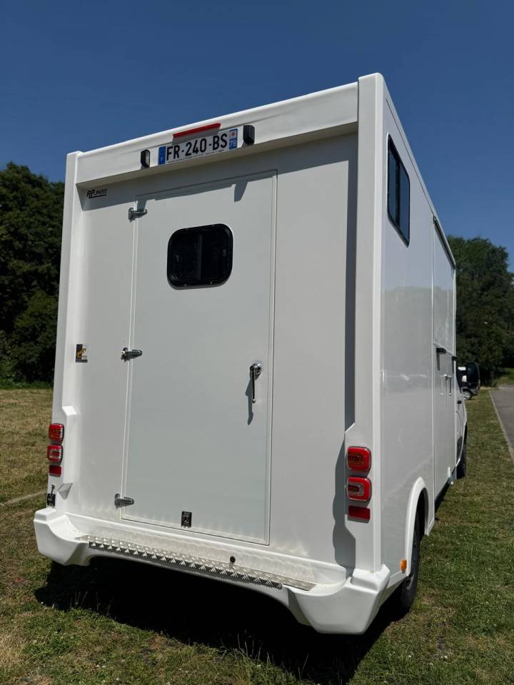 Kleine paardenvrachtwagen (B rijbewijs) AP Petit Renault Master 2019 Tweedehands
