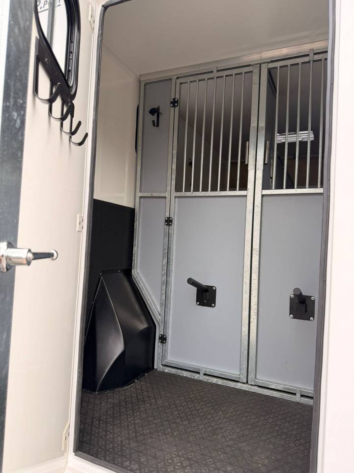 Kleine paardenvrachtwagen (B rijbewijs) AP Petit Renault Master 2019 Tweedehands