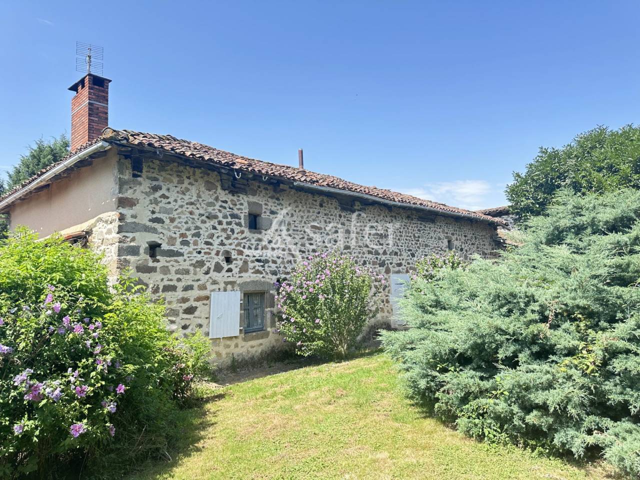 Landbouw bedrijf Koop Charente