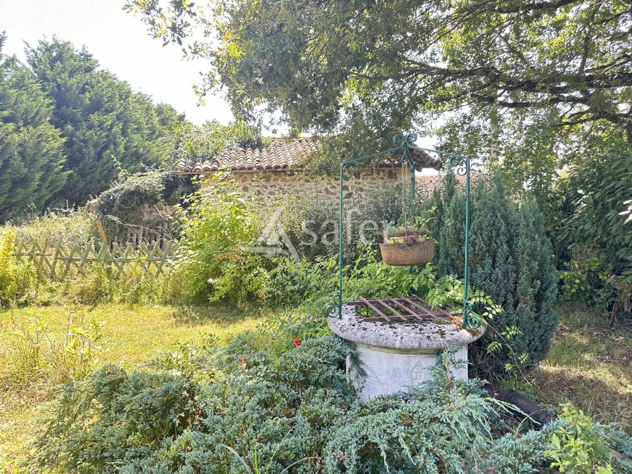 Landbouw bedrijf Koop Charente