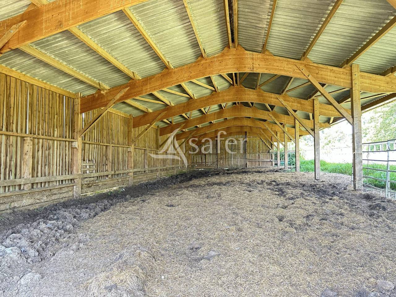 Landbouw bedrijf Koop Charente