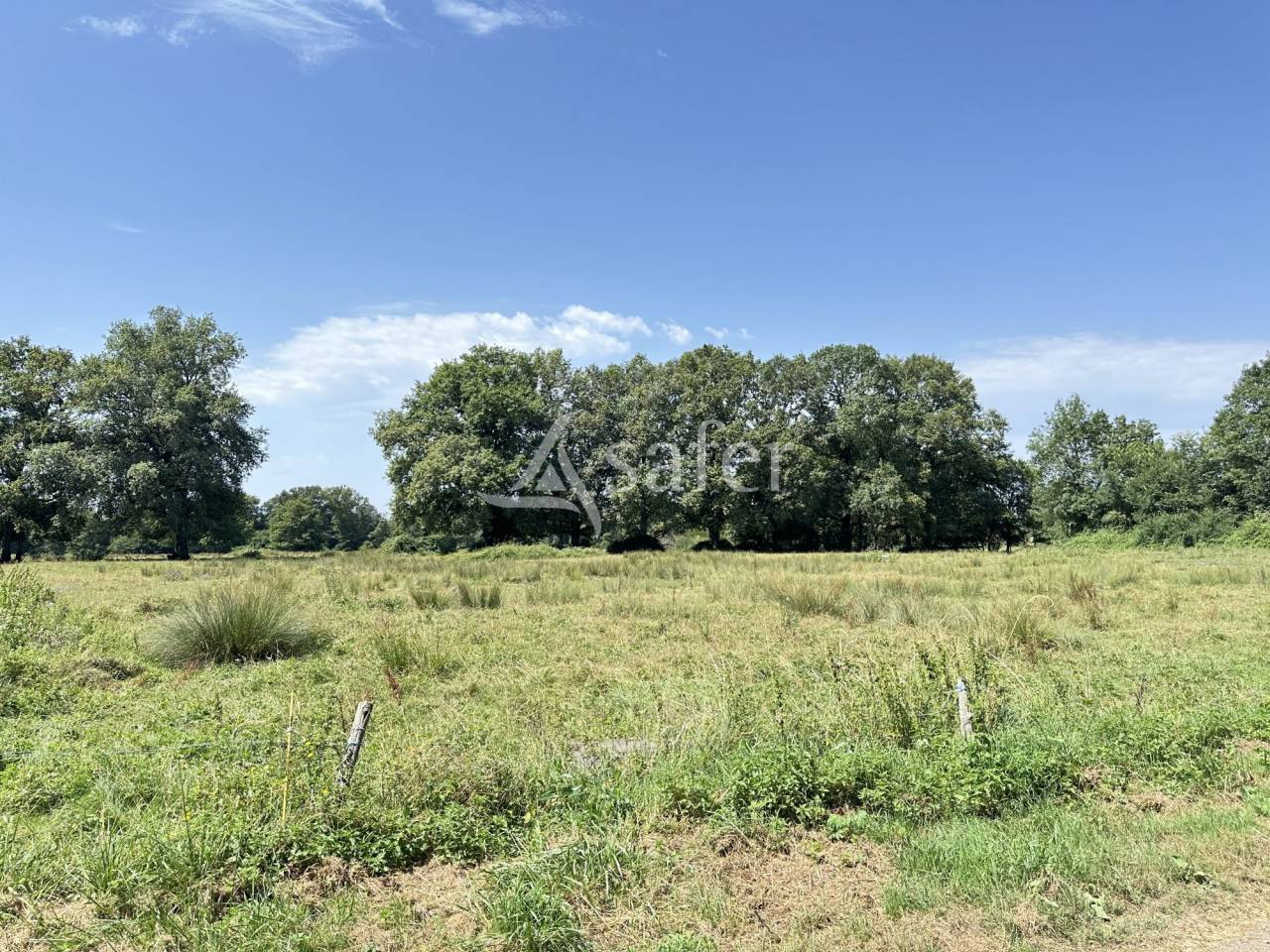 Landbouw bedrijf Koop Charente