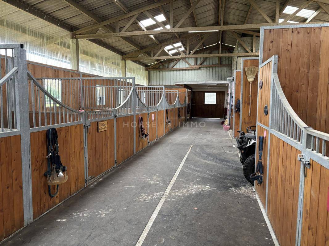 Hippisch vastgoed Koop Maine-et-Loire