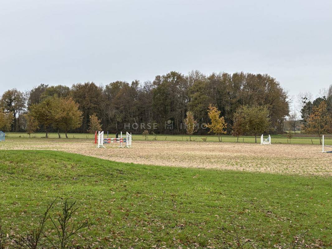 Hippisch vastgoed Koop Maine-et-Loire