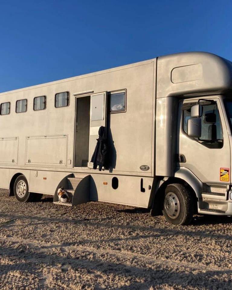 Zware paardenvrachtwagen (groot rijbewijs) Renault MEDIUM 2006 Tweedehands