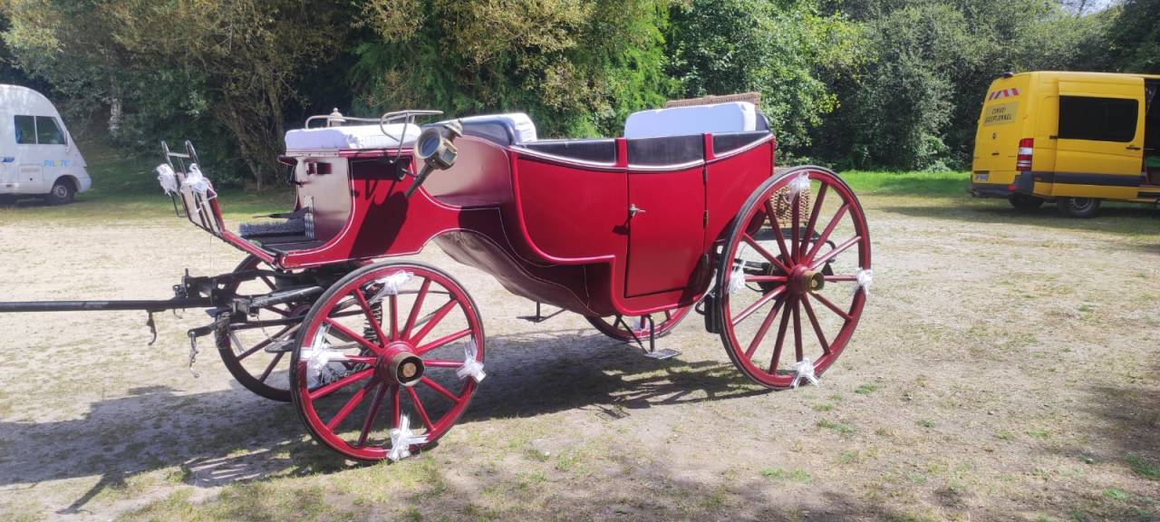 Rijtuigen - Vis-&agrave;-vis   