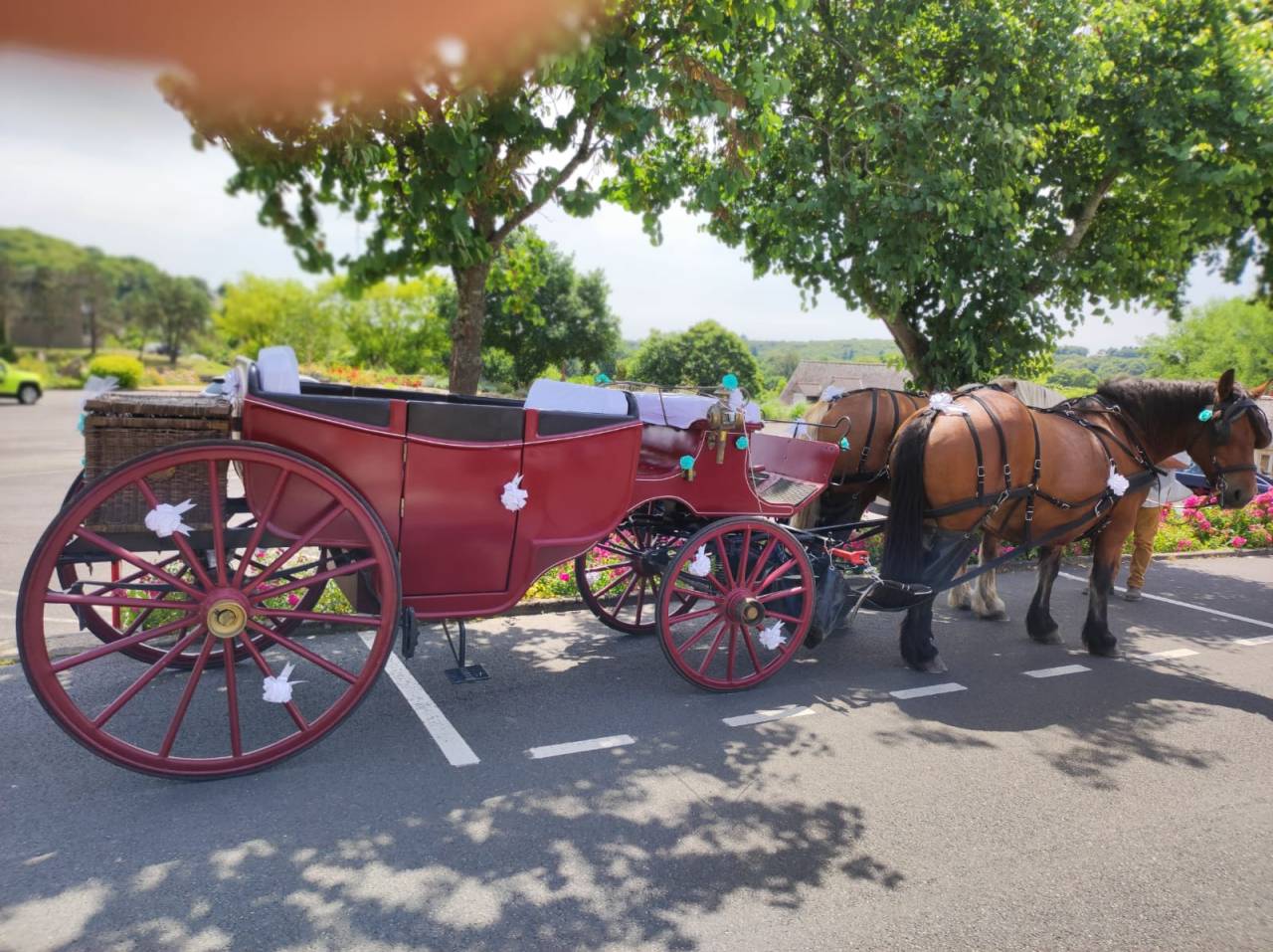 Rijtuigen - Vis-&agrave;-vis   