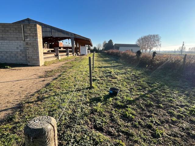 Hippisch vastgoed Koop Gard