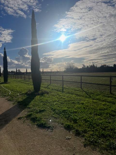 Hippisch vastgoed Koop Gard