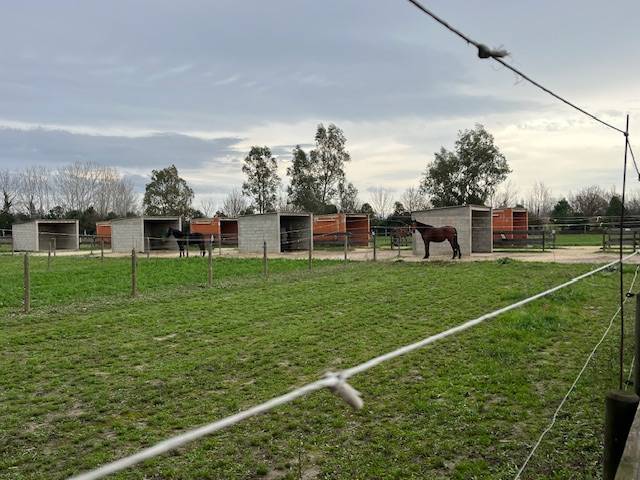 Hippisch vastgoed Koop Gard