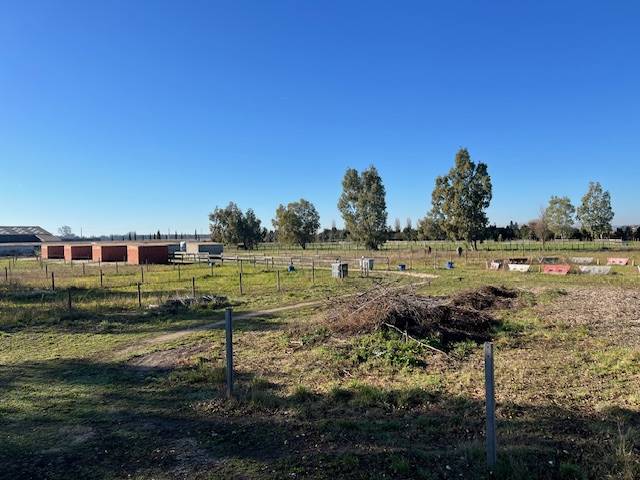 Hippisch vastgoed Koop Gard