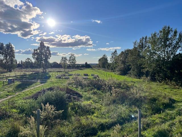 Hippisch vastgoed Koop Gard