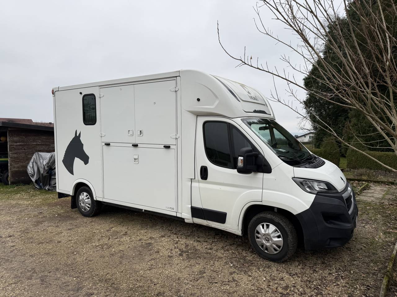 Paardentrailers Theault Peugeot Boxer 2 Paarden 2020 Tweedehands