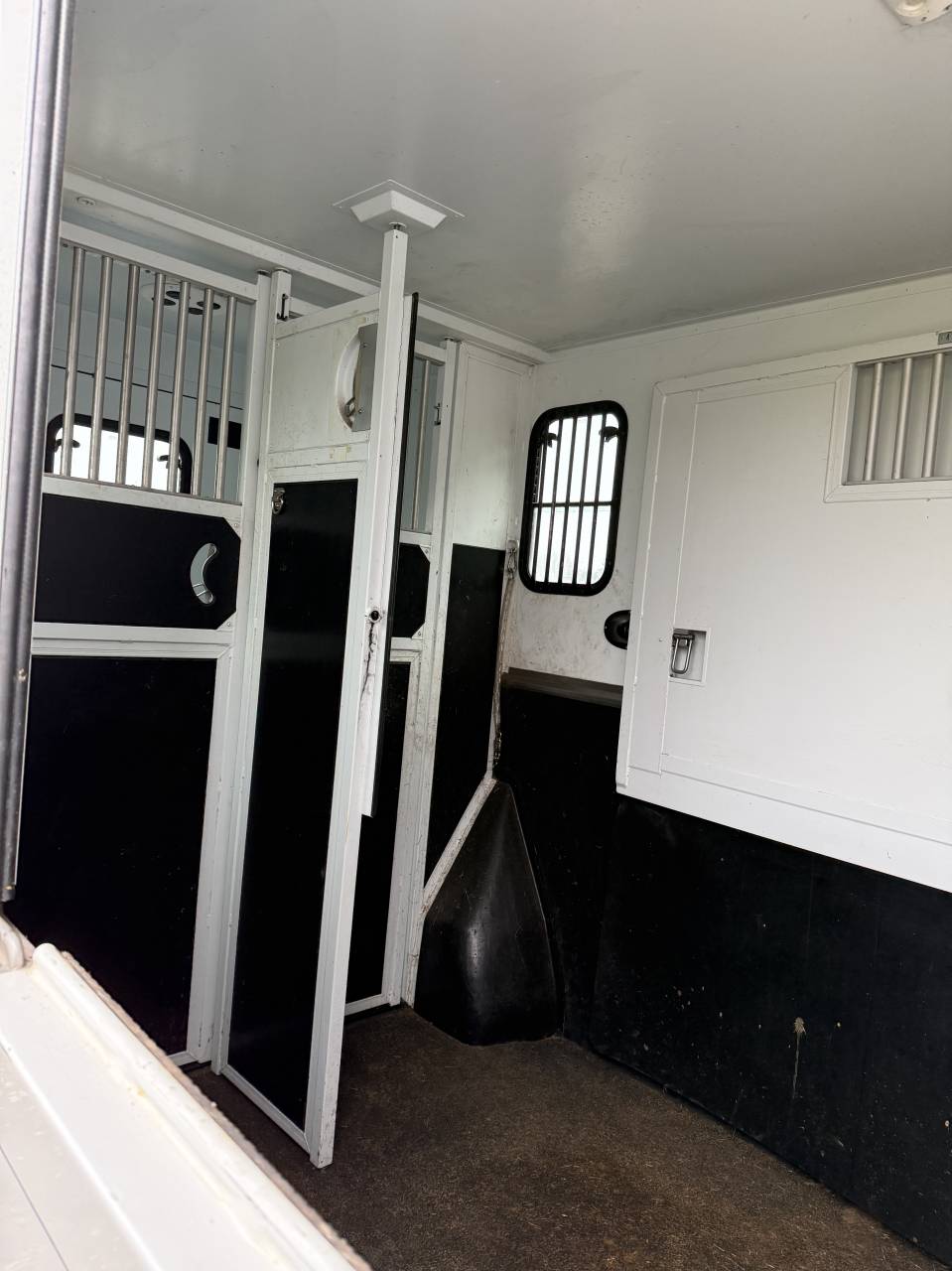 Paardentrailers Theault Peugeot Boxer 2 Paarden 2020 Tweedehands