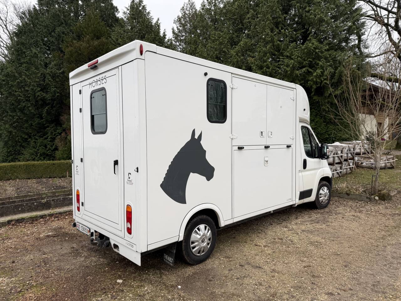Paardentrailers Theault Peugeot Boxer 2 Paarden 2020 Tweedehands
