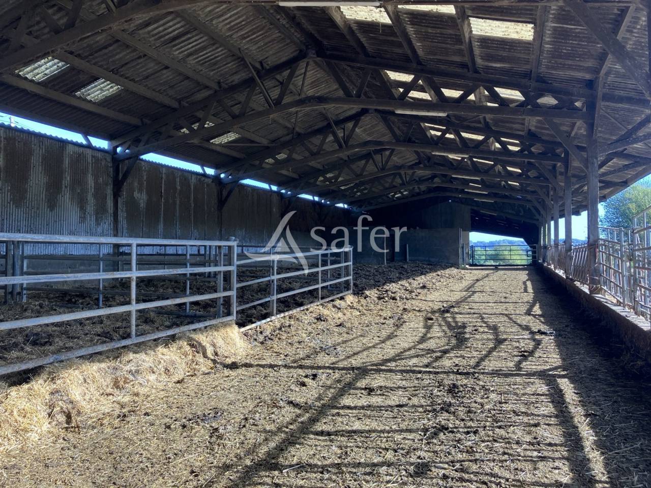 Landbouw bedrijf Koop Mayenne