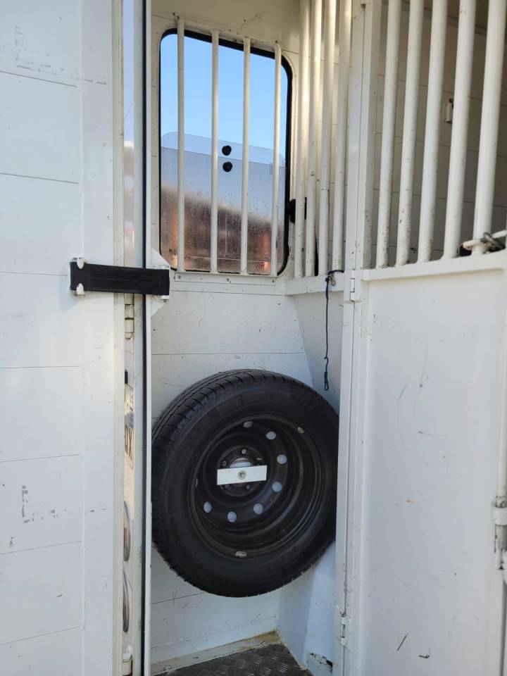 Kleine paardenvrachtwagen (B rijbewijs) Renault Rucel 2005 Tweedehands