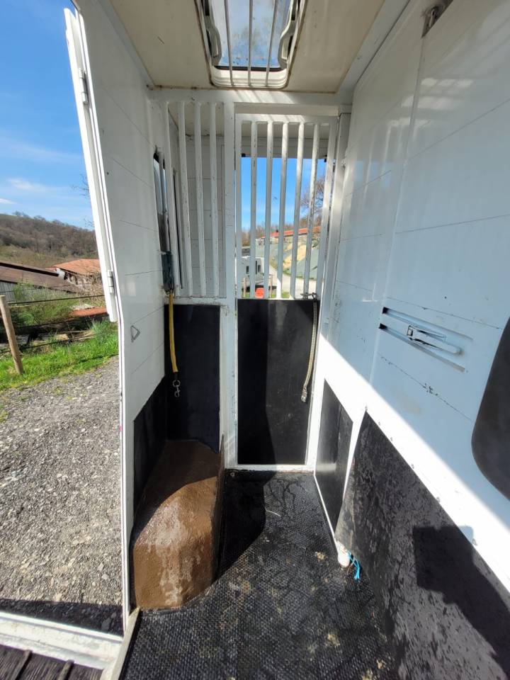 Kleine paardenvrachtwagen (B rijbewijs) Renault Rucel 2005 Tweedehands