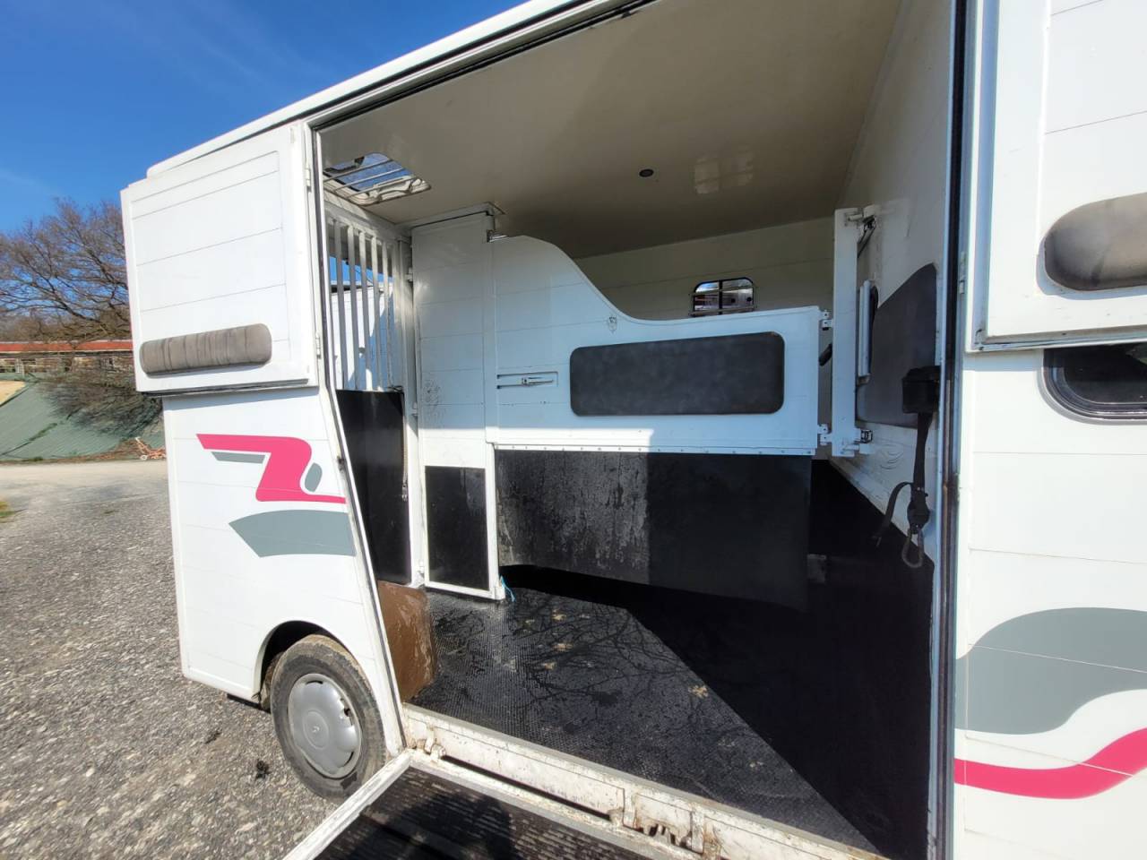 Kleine paardenvrachtwagen (B rijbewijs) Renault Rucel 2005 Tweedehands