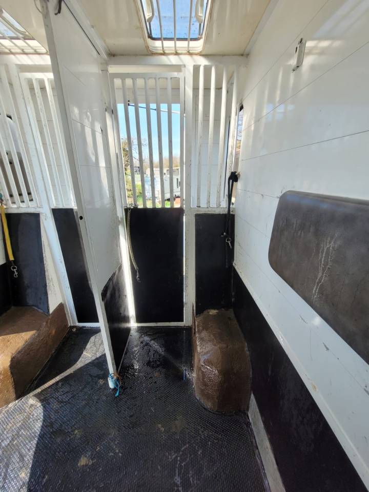 Kleine paardenvrachtwagen (B rijbewijs) Renault Rucel 2005 Tweedehands