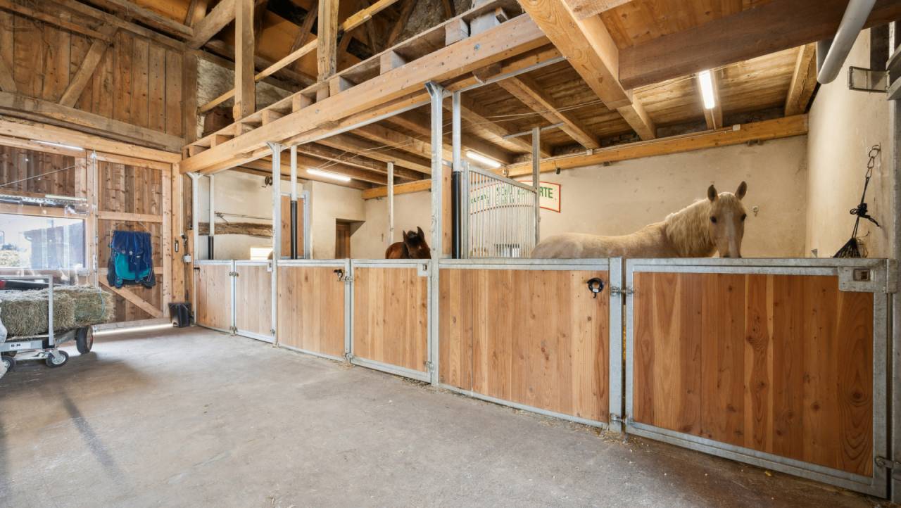 Hippisch vastgoed Koop Jura-Suisse