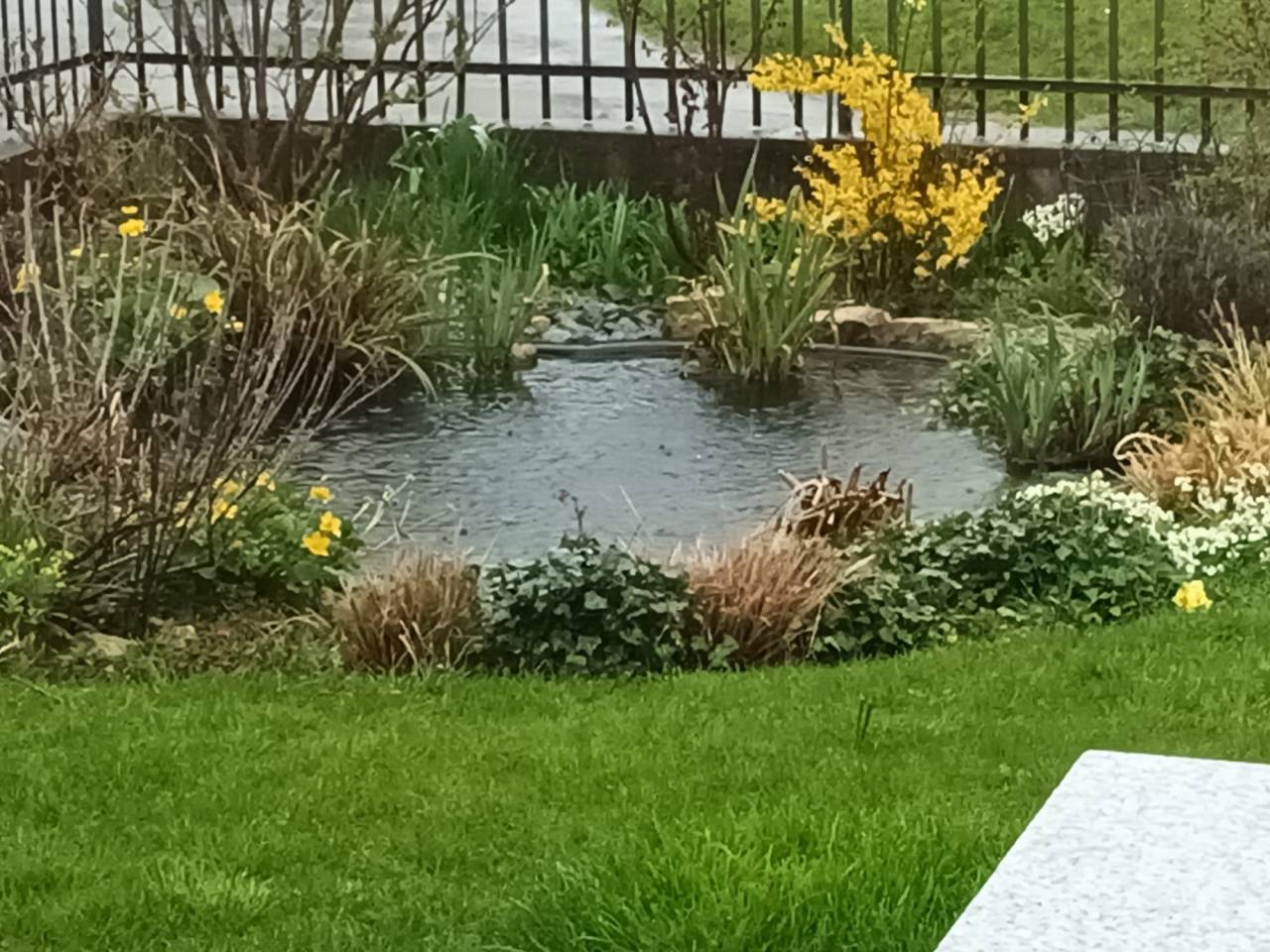 Hippisch vastgoed Koop Jura-Suisse