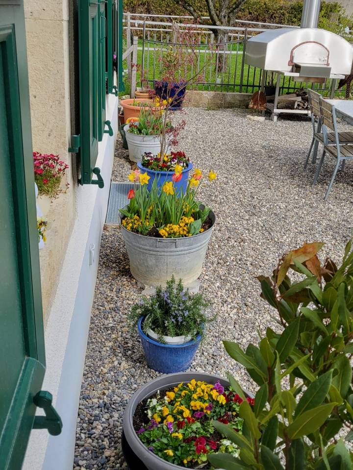 Hippisch vastgoed Koop Jura-Suisse