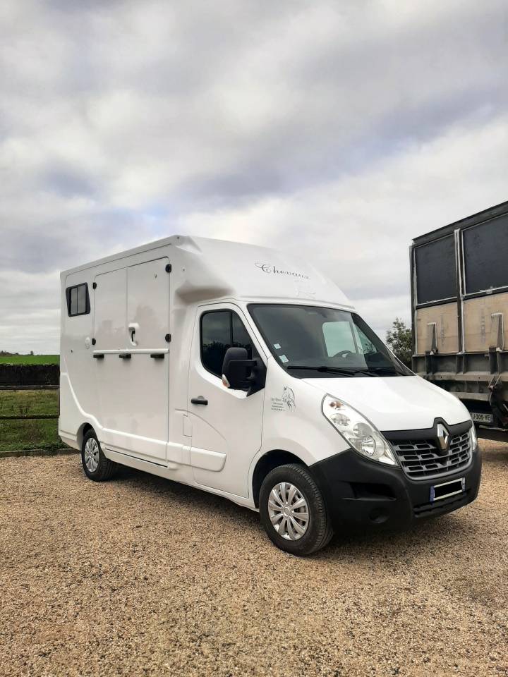 Kleine paardenvrachtwagen (B rijbewijs) Renault Master 2017 Tweedehands